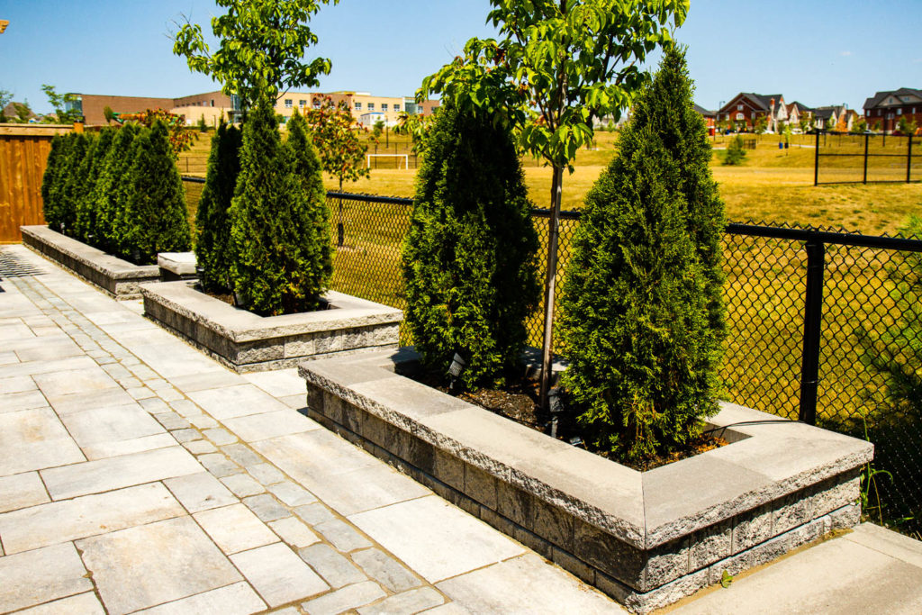 Stone Planters with Trees
